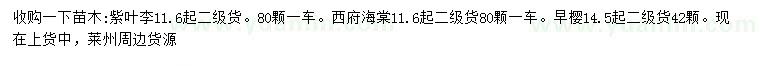 求購紫葉李、西府海棠、早櫻