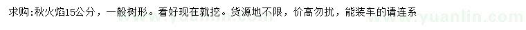 求購(gòu)15公分秋火焰