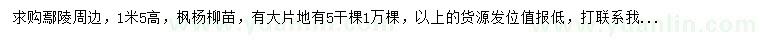 求購1.5米楓楊柳