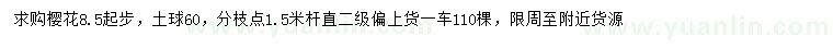求購8.5公分以上櫻花