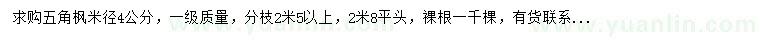 求購米徑4公分五角楓