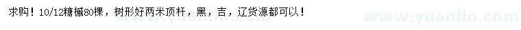 求購10、12公分糖槭