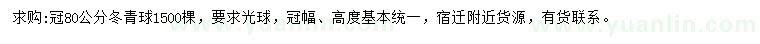 求購(gòu)冠幅80公分冬青球
