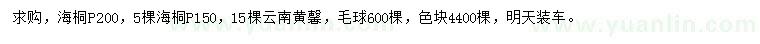 求購冠幅150、200公分海桐、云南黃馨