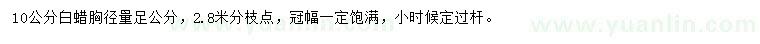 求購胸徑10公分白蠟