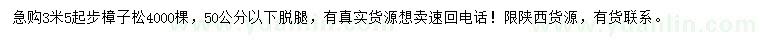 求購3.5米以上樟子松