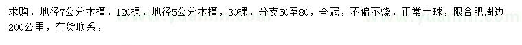 求購地徑7公分木槿