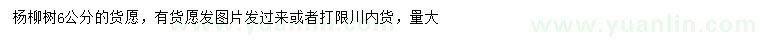 求購6公分楊柳樹
