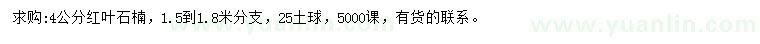 求購4公分紅葉石楠