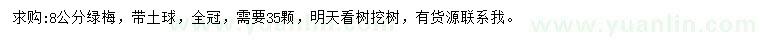 求購8公分綠梅