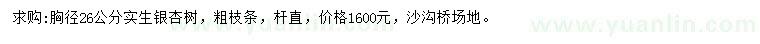 求購胸徑26公分銀杏