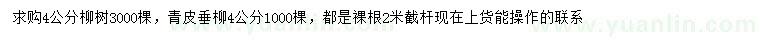 求購4公分柳樹、青皮垂柳