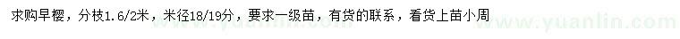 求購米徑18-19公分早櫻