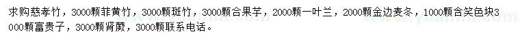 求購慈孝竹、菲黃竹、顆斑竹等