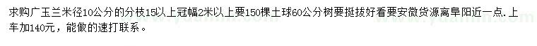求購米徑10公分廣玉蘭