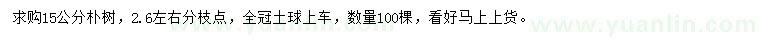 求購(gòu)15公分樸樹