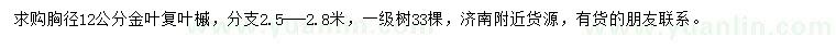 求購胸徑12公分金葉復(fù)葉槭