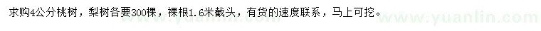 求購4公分桃樹、梨樹