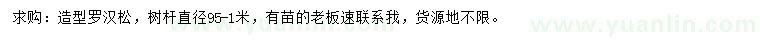 求購造型羅漢松