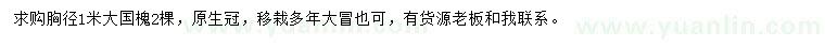 求購(gòu)胸徑1米國(guó)槐