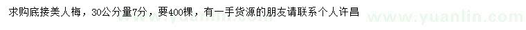 求購30公分量7分低接美人梅