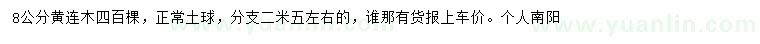 求購8公分黃連木