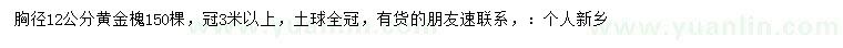 求購胸徑12公分黃金槐