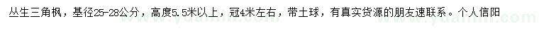 求購(gòu)25-28公分叢生三角楓