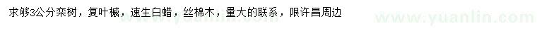 求購欒樹、復(fù)葉槭、速生白蠟等