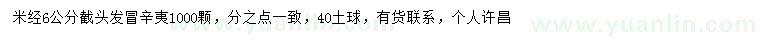 求購米徑6公分辛夷