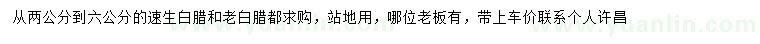 求購(gòu)2到6公分速生白臘和老白臘
