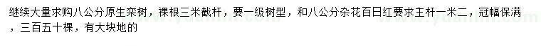 求購8公分原生欒樹