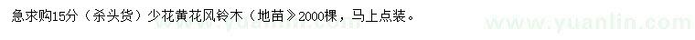求購15公分黃花風(fēng)鈴木