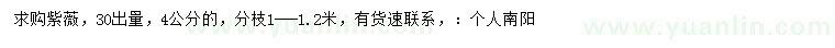 求購4公分紫薇
