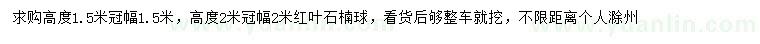 求購高度1.5、2米紅葉石楠球