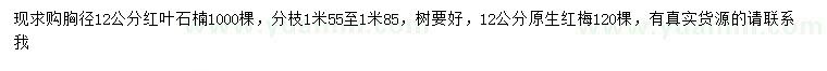 求購胸徑12公分紅葉石楠、紅梅
