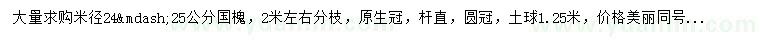 求購米徑24-25公分國(guó)槐
