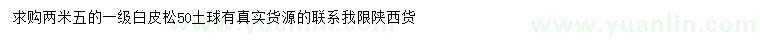 求購2.5米白皮松