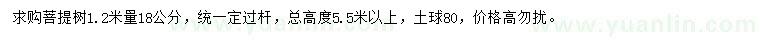 求購1.2米量18公分菩提樹