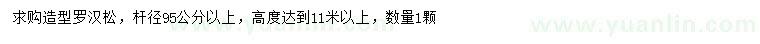 求購(gòu)高11米以上造型羅漢松