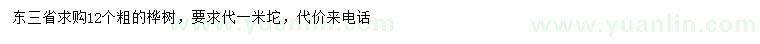 求購12公分樺樹