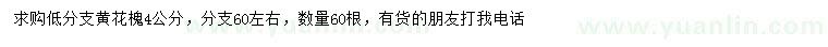 求購(gòu)4公分黃花槐