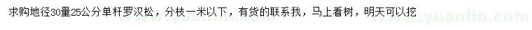 求購(gòu)地徑30量25公分羅漢松