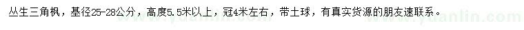 求購基徑25-28公分叢生三角楓