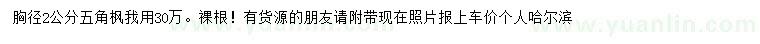 求購(gòu)胸徑2公分五角楓