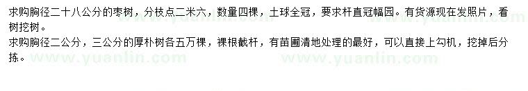 求購(gòu)胸徑28公分棗樹(shù)、2，3公分厚樸