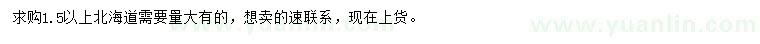 求購1.5米以上北海道黃楊
