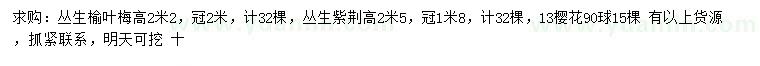 求購叢生榆葉梅、叢生紫荊、櫻花