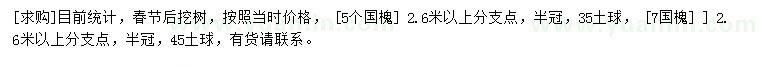 求購國槐