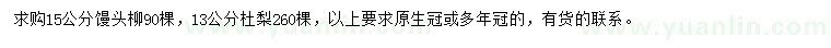 求購15公分饅頭柳、13公分杜梨